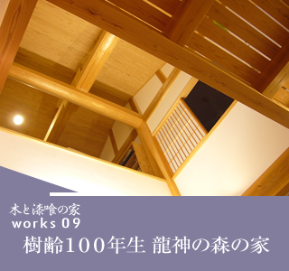 樹齢100年生龍神の森の家