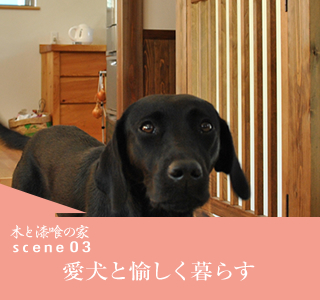 scene03　愛犬と愉しく暮らす